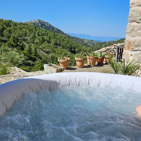 Agave Veliko Grablje