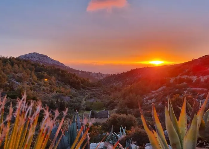 度假居 Agave