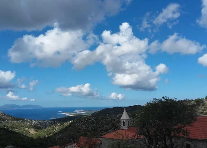 Agave * Veliko Grablje