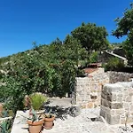 Agave Vikendica Veliko Grablje
