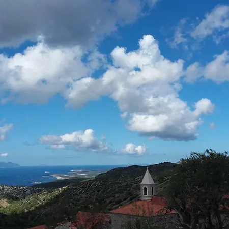 Agave * Veliko Grablje